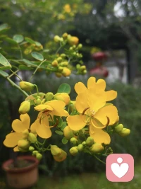 告别“受害者”剧本：你的后半生，由你亲手撰写

《百年孤独》的结尾，飓风过境，家族覆灭。因为他们所有人都活在过去，活在受害者的剧本里；他们被动的、麻木的，被血缘和命运推着走；他们抱怨、沉沦，但从未想过去创造一个新的故事。他们用一生来证明自己的不幸，却忘了自己可以选择另一种人生。

很多人在原生家庭的叙事里，也给自己定格为了受害者。

“我之所以这么懦弱，都是因为我爸妈太强势。”“我之所以不相信爱情，都是因为他们离婚了。”这些可能是事实，但事实不应该是你的终点。

如果你永远把自己放在受害者的位置上，你就等于亲手交出了自己的人生。

《百年孤独》里的最后一代人，他们看见了真相，可一切都太晚了。
而我们，现在看见了，一切都还来得机。

马尔克斯的警示很残酷：一个只懂得重复过去，而不懂得创造未来的的人，必然走向灭亡。

你的前半生，剧本是父母写的。但你的后半生，笔在你自己手里。请你合上“受害者”的剧本，开始撰写属于你的、全新的篇章。配图