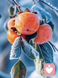 停止“爱的乞讨”：真正的强大，是敢于孤独，并自我满足

《百年孤独》的核心就在孤独。布恩迪亚家族的每个人，都在用一生对抗孤独，结果却又死于孤独。无论是发动32场战争的上校，还是织着寿衣的阿玛兰妲，他们本质上都在向外乞讨——乞讨爱、乞讨关注、乞讨认可。

可悲的是，一个在童年没有被爱喂饱的人，长大后会本能地怀疑一切爱，既渴望又抗拒。

这像极了现实中的我们：很多人在原生家庭里得不到温暖，便穷极一生去寻找替代品。要么在伴侣身上索取无度的宠爱，要么在工作中疯狂寻求肯定。

我们以为这是爱，其实这只是爱的乞讨。一个乞讨者，永远无法获得真正的爱。

我们必须停止乞讨，转而“自我满足”。

这就是心理学上的“课题分离”。父母怎么对你，是他们的课题；你如何回应，是你的课题。他们不爱你，不代表你不值得被爱。

当你不再把希望寄托在他人身上，而是学会自己拥抱自己、自己肯定自己时，那深入骨髓的孤独，才真正的开始瓦解。配图