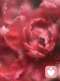 自由不是讓你想做什么就做什么，自由是你不想做什么，就可以不做什么。配圖