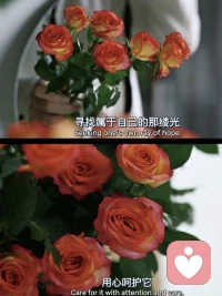 一個人生建議：祛魅

不要總覺得自己低人一等，不要有享福恥辱感。我們要正視別人，也要正視自己，不要給任何人附魅。沒有人能傷害你，沒有人生來卑微，沒有人就該高高在上，也沒有人不可被質(zhì)疑。祛魅，才能看見真實的對方。

你不吃他的，不喝他的，不靠他活著，有什么好低三下四的？你是普通人，可誰又不普通呢？每個人都應(yīng)該成為自己生活的主角，為自己的人生負(fù)責(zé)，相信自己，認(rèn)可自己，勇敢地去做自己，去愛自己，去體驗這個世界。

讓你不舒服的關(guān)系，該斷就斷，沒必要去討好一個不在乎你的人。人生是短暫的，世界本身也沒什么意義，是你為自己創(chuàng)造了意義，你的世界才變得有意義了。所以，你才是你世界最珍貴的人，你不在了，屬于你的世界也就消失了。配圖