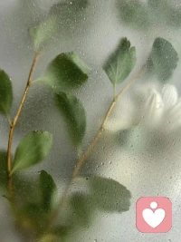 嘴欠的人，天生窮命

人窮，是有原因的。嘴欠的人，缺乏修養(yǎng)，缺乏共情能力，說話尖酸刻薄、不經(jīng)思考，只圖自己痛快，不顧及他人的感受。大家都開開心心的，他卻非要鬧得誰都不痛快。這樣的人，讓人反感是必然的。

嘴欠的人，熱衷于拉踩攻擊別人，喜歡讓別人難堪，喜歡看別人笑話，最終，難堪的卻是他自己，成了笑話的也是他自己。沒有人愿意搭理一個(gè)嘴欠的人，更沒有人愿意幫助一個(gè)嘴欠的人。要知道，你讓人難堪一次，就會(huì)輸?shù)粢欢握滟F的關(guān)系。

關(guān)系和機(jī)會(huì)上的貧窮，比經(jīng)濟(jì)上的貧窮，更讓人窮得徹底。不要因?yàn)檎Z言刻薄，而把自己鎖死在小小天地里，從而失去更多的可能性。人和人的關(guān)系是相互的，你語言得體，理解和尊重他人，就是在給自己的未來鋪路。配圖