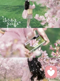 不要著急著去傾其所有，不如留一些驕傲、疼愛、包容給自己配圖