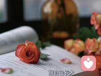 沒有一顆珍珠的閃光，是靠別人涂抹上去的。配圖