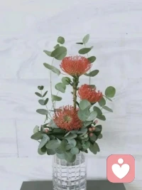 蘋果結在不同的樹梢，人和人不能比較。配圖