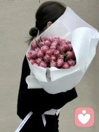 努力的目的不是為了鶴立雞群，而是離開雞群

只管一騎絕塵，頭也不回地往前走，鉚足勁把自己送到一個(gè)好環(huán)境去配圖