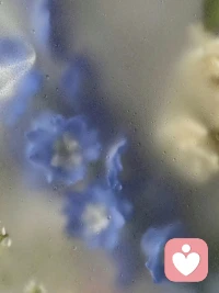 决定你命运的不是性格能力而是心智。