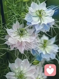 你的嘴里，藏着孩子的未来 

不要把自己的坏情绪和刻薄的语言，都灌输给孩子。一句盛怒下的嘲讽或指责，所造成孩子内心的裂痕，日后百倍的努力都难以弥补。怎么过今天，就怎过今生，童年不幸的人，可能要用一生治愈童年的创伤。

童年的幸福，能治愈人的一生。即使遇到了绝境，内心深处的温暖，也能支持他走下去。而内心深处的那一抹温暖，就是父母留给他的。童年幸福的人，性格开朗、有趣、积极、自信，这样的人，这辈子不会太差。

父母的语气有多好，孩子的未来就有多好。一个满是抱怨、刻薄、谎言的家庭，难以培养出阳光、豁达、诚信的下一代。想让孩子有个好的未来，就要在回家之前，把坏情绪丢在门外。你把自己的嘴管好了，就是对孩子未来最坚实的保护。