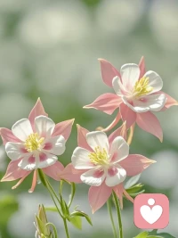 别让不反抗，把你变成可随意对待的对象

别自我感动说自己不跟他计较，你那叫没骨气，是主动把欺负你的权利递到对方手里。

每个人都会给身边人“定价”，这个价不是钱，是欺负他要付出的成本。

第一次忍，对方觉得这人好拿捏；再往后还继续忍的话，你在对方眼里就不是有情绪、有底线的人。而是个用着顺手、惹了也没事的物件。

这就是不反抗养出来的毛病。长期不还手的人，会逐渐在他人眼中失去“人”的属性，变成一个没有情绪的符号。

你若不反抗，就等于默认了对方的规则：欺负你，不需要付出代价。这种默认会固化你们的关系模式，让你陷入被动。

所以不是必须要争个输赢，是你得守住自己的人格边界。

你可以善良，可以帮忙，但不能让别人觉得你的善良不用珍惜，你的帮忙不用回报。

当第一次有人欺负你时，你就该亮明态度：“这事我不喜欢，你别再这么做。”

不然等你们的模式固定了，你再想改，要付出的代价只会更大。