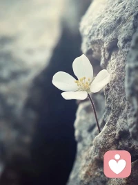 低谷期是讓你升級的，不是讓你恢復出廠設置配圖