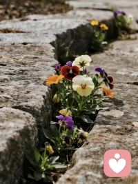 嘴毒的人，就是心坏

嘴毒的人，就是心坏。心不刻薄，怎么能说出刻薄的话？一个人说什么话，就是他心里在想什么。心里装着别人的人，说出来的话会带着温度，生怕伤着你。而那些张嘴就伤人的人，他心里首先想到的，绝不是为你好。

想想看，他会用这种难听的话去跟他的老板说话吗？他会用这种态度去对待一个他要求着办事的人吗？通常不会。他的“毒舌”，是看人下菜的。这说明什么？说明他知道什么话会伤人，他只是不在乎你的感受罢了。

一个明明知道会让你难受，却还是选择这么做的人，就是心坏。别再拿“性子直”当借口了，“性子直”和“嘴毒”完全是两回事。“性子直”目的是为了解决问题，为了帮助别人；“嘴毒”只是为了显摆自己，为了发泄自己的情绪。