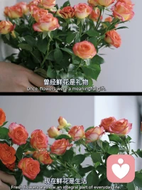 哪有什么答案  态度就是答案