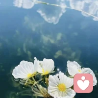 低调是新环境里的保护色。初来乍到，先观察再行动，锋芒毕露容易招致不必要的麻烦。