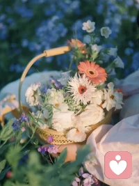 停止扮演那个有求必应的“老好人”，也别泛滥你的圣母心。学会拒绝，不委屈自己，是保护自己的第一步。