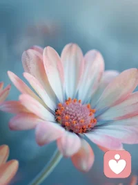 对于那些能力、圈层都远超于你的人，就不必刻意去讨好和迎合了，这通常是徒劳无功的。