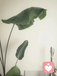 越无知，叫得越狂 

越是见识贫乏、不懂道理的人，越是习惯大声嚷嚷，试图在语言上战胜别人。因为无知，所以叫得最狂，看什么都不顺眼。你讲道理，他发泄情绪，哪怕事实就摆在面前，也死不承认，表面上是犟，其实是见识浅、格局窄、心眼小。

一个人，最大的贫穷，不是没钱，而是无知。无知的人，如井底之蛙，见识始终局限在狭小昏暗的井底，只要是超过自己认知的事物观点，就都认为是错的。这类人，遇事拎不清、看不明、抓不住，所以只能用愤怒来掩盖自己的无能。

越是无知的人，叫得越狂，周围都是自己的回声，听不到别人的话，看谁都不顺眼，遇事只顾反驳，拉踩。反观真正身怀本事的人，从不把声音当武器，而是把声音当桥梁。他们明白山外有山、人外有人，所以懂得谦虚、包容、内求。