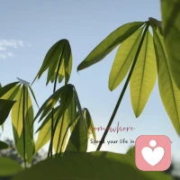 别总想着占便宜，没用的东西再便宜也是浪费；别轻易托付真心，不爱你的人给不了你想要的依靠。