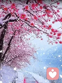 无论是谁，只要帮了你，哪怕是最好的朋友，也要把感谢的心意送到。对方收不收是他的事，但你必须表达，这是尊重。