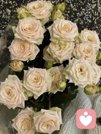 要允许自己有犯错和失败的时候，但绝不能容忍自己未曾尝试就缴械投降。