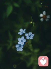 保护你的注意力和时间

一个产品，可买可不买，就不买
一个人，可交往可不交往，就不交往
一件事，可做可不做，就不做

如此，留下的就是真正需要的产品，真正认可的人，和渴望做的事

我期待：做减法，做重要的事！