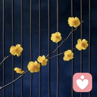 一个人，真正能放下的东西越多，他就越富有。