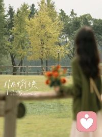 我允许自己像一块被晒暖的石头，什么也不用证明