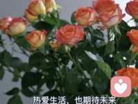 總會有人愛你的破碎勝過你的完美，但前提是，你要勇敢做自己，沒有很好也沒關系。配圖