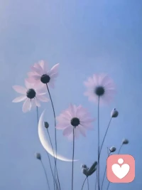 你的底氣，最終來源于你的實力。與其抱怨社會冷酷、人心涼薄，不如努力讓自已強大，這才是立足的根本。配圖