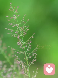 錢就像通往理想生活的橋梁，我們需要它，但我們不能住在橋梁上，再大的橋梁也是為了到對岸去。配圖