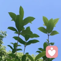 当你的收入增加一倍，指点你应该如何生活的人就会减少一半。所以，别期望被理解，用实力去长脸。