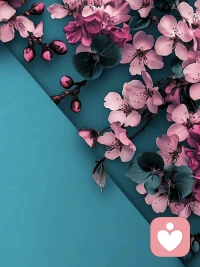 不會給任何人繼續傷害自己的機會。在長期關系里，別人能持續這么對你，都是你允許的。任何關系都是你進我退。配圖