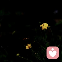 希望你有過硬的本事，有喜歡的工作，有可以逃避壞情緒的愛好，有充足的睡眠，有獨處的快樂，最后才是有好多人喜歡你。配圖