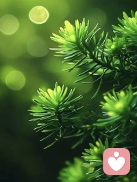 年過40歲，請停止跟親人業(yè)力糾纏

業(yè)力，是不可抗的因果。你出生在怎樣的家庭，有怎樣的父母，遭遇怎樣的苦難，命里帶來，無力改變。年過40歲，一定要從這種業(yè)力糾纏中掙脫，不要替代任何人受苦，不要跟任何人共業(yè)。

父母自有因果，孩子自有命運，半輩子了，不要依舊陷在這些業(yè)力糾纏中，抱怨、痛苦、憤恨。人，最怕一輩子被親情所困，獨獨看不見自己。有時候，人獨立出親情，不是斷情，而是覺醒。

人要留時間和空間，創(chuàng)造屬于自己的生活。你來人間走這一遭，總要以自己的心，去見山見水見眾生，見自己。哪怕是骨肉至親，可適當?shù)膸停豢商嫠堋o需斷愛，只需斷業(yè)力，不糾纏。配圖