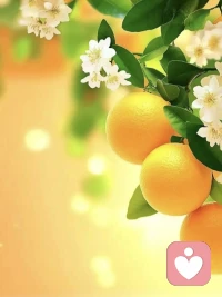 希望你早日明白，真正应该焦虑的，不是孤独，不是没钱，也不是衰老，而是你从来没有按照自己喜欢的方式活过