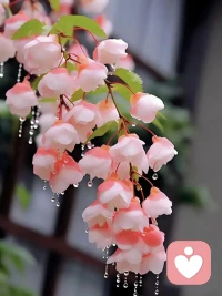 要兴致盎然地跟这个世界交手过招，做一个永远会为路边的树、天边的云、翻滚的浪、撒娇的猫、新一轮的满月、可口的饭菜、夏夜的晚风、冬天的白雪而欢呼雀跃的人