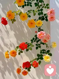 发朋友圈不是为了谁的赞，而是为了分享给未来的自己，为了以后还能知道自己这些年都做了什么，怎么活的，状态如何。这些充满喜怒哀乐的私人瞬间都在提醒着自己：我这一生，确实是热烈又真诚地活着