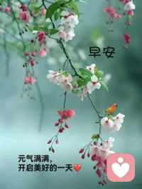 “太阳型”家人，千万要珍惜

有些人，只要结了婚，就一心一意好好过日子，生儿育女，操持家务，以最真挚的心去对待家人，一腔热血，如暖阳，烈烈真心。不要眼瞎心盲，不要猪油蒙了心，好好的家人，不善待，就是散福气。

遇到太阳型家人，那么暖，那么亮，千万要珍惜。人情凉薄，敢爱，敢付出，敢照亮的人，原本就是稀世珍宝。不珍惜，某种程度上，就是托不住这福气。永远记住，善待家人，就是余生最大的积福。

人心会凉，再温暖、再积极乐观的家人，一旦被伤透了心，也会收回自己的光。不要以为辜负了没什么，伤害了也没什么，福尽则祸来，人一旦不惜福，人会走，家会散，幸福也会远。命中有福要惜福，人生才能少遗憾。