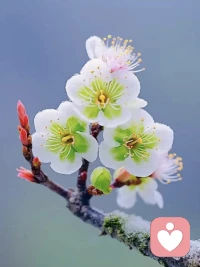 一个人不用活得像一支队伍，活成真实的自己就好了。不要逼自己十全十美，不要把自己的选择建立在别人的认同上，不要反反复复咀嚼那些让你不爽的人或者出糗的事，不要强迫自己“必须出人头地”，不要责令自己“必须合群”，每个人都有不是星星的权利