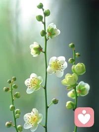 要热气腾腾地活着，吃爱吃的食物、买喜欢的东西、穿漂亮的衣服、珍惜爱的人、做喜欢的事……先争取今天快乐，先争取开心地活在当下，先别管这种活法“高不高尚”或者“有没有出息”。