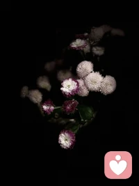 有的父母之所以如此糟糕，不是因为第一次当父母缺乏经验，而是因为第一次品尝到了权力的滋味。配图