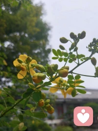 不要因为怕失败就放弃尝试。
管它行不行，先试试看。
成了，你获得了成功的人生体验；
不成，你获得了失败的人生体验。
对人生来说，都是稳赚不赔的买卖。