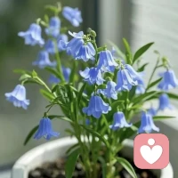 不是朋友多了路好走，而是路好走了朋友多。配图