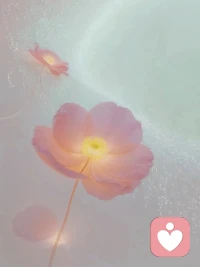 “敬我不能”，是智慧的开始。我曾因“做不到”焦虑自责，现在学会与它平和相处。承认精力有限，不再熬夜硬撑；承认能力有边界，对超出范围的请求说“不”。配图