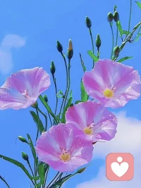 心气没了，人生也就定型了

被生活虐久了，心气就没了，可人生大多数苦，都是自选的，别人爱自己太少，自己又不够爱自己，于是，苦来了，干熬着，最后心脉受损，欣欣向荣的那股气散了，浑浑噩噩，人生自此定型。

不要没苦硬吃，哪怕真的有苦，也要尽量护好自己。足够爱自己的人，心气是很难被打散的，因为他心中始终有一种为自己好的力，那是一种向上的芽，我为我活着，只要我活着，我的生活就会枝繁叶茂。

人活着，要不遗余力奔向自己，不要让自己太闲，不要因为任何事，任何人散了心气，无坚不摧一点，莫多想，莫情深，莫懒惰，在自己心中，定一条铁律：只要我还有自己，一切都无所畏惧。