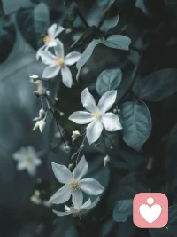 别把期待放任何人身上，把心收回来，放在自己身上，自己变得更好了，才会让身边的一切都跟着好起来