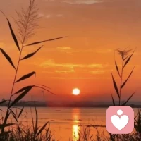 少管，少说，就是福

人情商高的一个标志是：分寸感。别人家的事，少管；自己家的事，少说。任何事，只要觉得为难，就要果断拒绝。不要瞎仗义，尤其是别人家的私事，人有亲疏远近，一旦越了界，别人家大团圆，你落个里外不是人。

乱则生祸，当旁观者，不要当添乱的人。骨肉至亲，管多了也招人嫌，说多了，更容易生是非。甩手，闭嘴，有时候不是冷漠，而是清醒，让矛盾真正归属于制造矛盾的人。人这辈子，少管，少说，就是福。

真正受人尊重者，不是付出最多的人，而是坚壁清野者。人，清冷沉默点，不是缺点，是魅力，离人群远一点，离自己就近一点，离是非远一点，离好运气就近一点。闲事少了，心就清净，心清净了，人才能得到纯粹的快乐，人生也才能真正赋予自己的色彩，蓝的天，绿的叶，寂静安然的你。