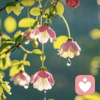 心理学上说：那些敢于吵架、敢于冲突敢于强势、敢于不礼貌、敢于不要脸的人，才是真正有能力的人，他们有冲突的能力，更有收拾残局的能力