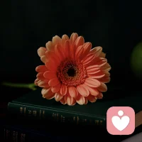 当你能稳稳站在自己的立场，不为讨厌所动，不为算计所扰，那份从容本身，就已经是对人性常态最有力的回应。配图