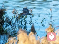 请大家停止一个很自降身份的行为：不要别人问什么你就答什么，很多问题是不需要回答的，因为很多人提问的初衷可能就是不怀好意的配图