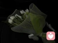 你，必须亲自穿过黑夜

有些路，必须自己走，哪怕天很黑，风很大。你，必须亲自穿过黑夜，去忍受病痛，去看清人性，在某个至暗时刻，明白你到底是谁，真正想要什么，什么才最重要，然后剐蹭掉身上的腐肉，一点点重塑自己。

真正强大的人，都带点黑色生命力，没那么心软，没那么好骗，没那么脆弱，因为自己亲历过黑夜，哭过，痛过，顿悟过，明白人心凉薄，懂得真心难换，知道能顾好自己，已是人间极幸运的事。

不要没苦硬吃，但黑夜真的来了，不要怕，从从容容穿过它。时间不会治愈你，真正治愈你的是，经过白天黑夜反复洗礼，而重生的你自己。人，要学会在黑夜中行走，抬头看星，方知宇宙浩渺，你不过沧海一粟，原本就可随心而过。配图