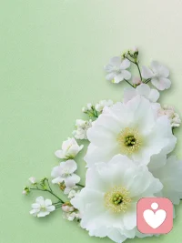 告诉你一个残忍的事实，你和任何人的关系，其实并不取决于你对别人多好，而是取决于你的强弱，手上筹码的多少配图